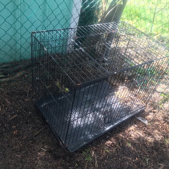 Animal cage - Picture 4 of 4